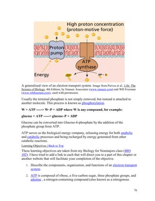 A generalized view of an electron transport system. Image from Purves et al., Life: The
Science of Biology, 4th Edition, by Sinauer Associates (www.sinauer.com) and WH Freeman
(www.whfreeman.com), used with permission.

Usually the terminal phosphate is not simply removed, but instead is attached to
another molecule. This process is known as phosphorylation.
W + ATP -----> W~P + ADP where W is any compound, for example:
glucose + ATP -----> glucose~P + ADP
Glucose can be converted into Glucose-6-phosphate by the addition of the
phosphate group from ATP.
ATP serves as the biological energy company, releasing energy for both anabolic
and catabolic processes and being recharged by energy generated from other
catabolic reactions.
Learning Objectives | Back to Top

These learning objectives are taken from my Biology for Nonmajors class (BIO
102). I have tried to add a link to each that will direct you to a part of this chapter or
another website that will facilitate your completion of the objective.
1. Describe the components, organization, and functions of an electron transport

system.
2. ATP is composed of ribose, a five-carbon sugar, three phosphate groups, and

adenine , a nitrogen-containing compound (also known as a nitrogenous
76

 