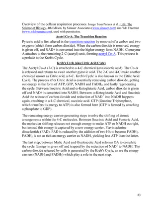 Overview of the cellular respiration processes. Image from Purves et al., Life: The
Science of Biology, 4th Edition, by Sinauer Associates (www.sinauer.com) and WH Freeman
(www.whfreeman.com), used with permission.
Acetyl Co-A: The Transition Reaction

Pyruvic acid is first altered in the transition reaction by removal of a carbon and two
oxygens (which form carbon dioxide). When the carbon dioxide is removed, energy
is given off, and NAD+ is converted into the higher energy form NADH. Coenzyme
A attaches to the remaining 2-C (acetyl) unit, forming acetyl Co-A. This process is
a prelude to the Kreb's Cycle.
Kreb's Cycle (aka Citric Acid Cycle)

The Acetyl Co-A (2-C) is attached to a 4-C chemical (oxaloacetic acid). The Co-A
is released and returns to await another pyruvic acid. The 2-C and 4-C make another
chemical known as Citric acid, a 6-C. Kreb's Cycle is also known as the Citric Acid
Cycle. The process after Citric Acid is essentially removing carbon dioxide, getting
out energy in the form of ATP, GTP, NADH and FADH2, and lastly regenerating
the cycle. Between Isocitric Acid and -Ketoglutaric Acid, carbon dioxide is given
off and NAD+ is converted into NADH. Between -Ketoglutaric Acid and Succinic
Acid the release of carbon dioxide and reduction of NAD + into NADH happens
again, resulting in a 4-C chemical, succinic acid. GTP (Guanine Triphosphate,
which transfers its energy to ATP) is also formed here (GTP is formed by attaching
a phosphate to GDP).
The remaining energy carrier-generating steps involve the shifting of atomic
arrangements within the 4-C molecules. Between Succinic Acid and Fumaric Acid,
the molecular shifting releases not enough energy to make ATP or NADH outright,
but instead this energy is captured by a new energy carrier, Flavin adenine
dinucleotide (FAD). FAD is reduced by the addition of two H's to become FADH2.
FADH2 is not as rich an energy carrier as NADH, yielding less ATP than the latter.
The last step, between Malic Acid and Oxaloacetic Acid reforms OA to complete
the cycle. Energy is given off and trapped by the reduction of NAD+ to NADH. The
carbon dioxide released by cells is generated by the Kreb's Cycle, as are the energy
carriers (NADH and FADH2) which play a role in the next step.

83

 