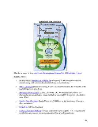 Catabolism and Anabolism

The above image is from http://www.biosci.uga.edu/almanac/bio_104/notes/jun_4.html.
REFERENCES


Biology Project Metabolism Problem Set (University of Arizona) Questions and
answers along with tutorials about metaboilism, an excellent site.



D.I.Y. Glycolysis (Leeds University, UK) An excellent tutorial on the molecular shifts
needed to perform glycolysis.



Introduction to Glycolysis (Leeds University, UK) An introduction for those less
chemically skewed, perhaps a nioce start before tackling DIY Glycolysis (also be the
same folks).



Step-by-Step Glycolysis (Leeds University, UK) Browse fact sheets as well as view
short animations.



Glycolysis (OUMA Graphics)



EcoCyc Glycolysis Pathway EcoCyc, an electronic encyclopedia of E. coli genes and
metabolism, provides an interactive diagram of the glycolysis pathway.

86

 