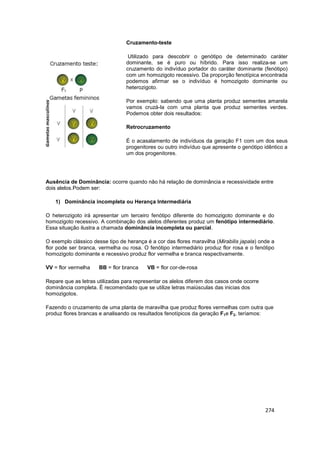 274
Cruzamento-teste
Utilizado para descobrir o genótipo de determinado caráter
dominante, se é puro ou híbrido. Para isso...