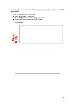 292
As combinações entre os diferentes alelos podem produzir quatro tipos de crista: rosa, ervilha,
noz e simples.
 Gene ...