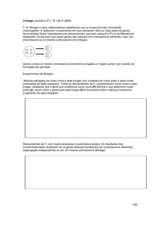 299
Linkage: quando a 2ª L. M. não é válida
T. H. Morgan e seus colaboradores trabalharam com a mosca da fruta, Drosophila...