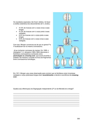 300
Os resultados esperados não foram obtidos. Ao fazer
a análise estatística dos descendentes de F2 revelou:
 41,5% de m...