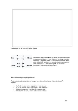 301
Os arranjos “cis” e “trans” dos genes ligados
Se os alelos dominantes A e B se situam em um cromossomo
e os alelos rec...