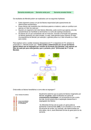 267
Semente amarela pura Semente verde pura Semente amarela híbrida
Os resultados de Mendel podem ser explicados com as se...