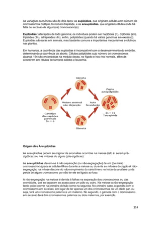 314
As variações numéricas são de dois tipos: as euploidias, que originam células com número de
cromossomos múltiplo do nú...