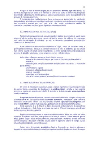 11
A seguir, no início do intestino delgado, na área denominada duodeno, o pH varia de 12 a 14,
devido à presença dos sais biliares e de hidróxido de sódio e isso facilita ou interfere na absorção de
determinadas substâncias. No intestino grosso, a ação de bactérias sobre o agente tóxico poderá levar à
produção de moléculas absorvíveis.
A via gastrointestinal contribui ainda de forma passiva para a incorporação de substâncias
tóxicas inaladas, principalmente material particulado, pois a porção que se deposita na parte superior do
trato respiratório é arrastada para cima, pela ação ciliar, sendo posteriormente engolida. Tal
contribuição é, na maioria das vezes, pouco significativa em termos de efeitos.
5.3.2 PENETRAÇÃO PELA VIA CUTÂNEA (PELE)
As intoxicações ocupacionais pela via cutânea podem significar a penetração do agente tóxico
através da pele e o posterior ingresso na corrente circulatória, através da epiderme. As intoxicações
mais conhecidas são aquelas de efeito local, ou seja, as dermatoses ocupacionais, produzidas pelo
contato com os agentes tóxicos.
A pele constitui-se numa barreira de revestimento do corpo, sendo um obstáculo contra a
penetração de xenobióticos. São duas as camadas formadoras da pele: a epiderme, que é a camada
mais externa, estando em contato com o meio ambiente; a derme, camada interna, onde se observa a
presença de glândulas sudoríparas, vasos sanguíneos, nervos e folículos pilosos.
Muitos fatores influenciam a absorção através da pele, tais como:
abrasão ou descontinuidade da pele, que tornam fácil a penetração do xenobiótico;
inflamação;
pilosidade (áreas com pelos apresentam absorção cutânea cerca de 3 a 13 vezes maior
que as demais);
tamanho da área exposta;
presença de outras substâncias na pele;
tempo de exposição;
temperatura no local da exposição.
redução da camada gordurosa protetora (efeitos dos solventes e sabões)
5.3.3 PENETRAÇÃO PELA VIA RESPIRATÓRIA
Em termos de intoxicações ocupacionais, esta é a via mais importante e frequente de penetração
de agentes tóxicos. A exposição dos trabalhadores a aerodispersóides constitui-se num problema
presente na maioria dos ambientes de trabalho. A absorção se dá tanto nas vias aéreas superiores
quanto nos alvéolos.
A superfície de contato pulmonar, composta pela superfície interna dos brônquios e bronquíolos
é estimada em 90 m2 , e a superfície interna dos alvéolos pulmonares, estimada em 70 m2 , formam a
interface de contato com o exterior. Essa área, somada a uma rede capilar de vasos sanguíneos com
área média de 140 m2 , facilitam muito a absorção, particularmente de substâncias na forma gasosa.
Sendo o consumo de ar de 10 a 20 kg diários, dependendo fundamentalmente do esforço físico
realizado (metabolismo), é fácil chegar à conclusão que mais e 90% das intoxicações generalizadas
tenham origem na absorção respiratória.
As partículas sólidas ou mesmo as líquidas de maiores diâmetros, podem ficar retidas nas partes
superiores do aparelho respiratório, onde podem causar doenças irritativas. Quando menores que 10
micra, podem chegar até os alvéolos pulmonares, onde atravessam a membrana alveolar, entram na
corrente sanguínea e dai podem ser levadas a outras partes do organismo, através do sangue ou das
células fagocitárias (glóbulos brancos) do sangue.
Outras vezes, determinados xenobióticos fixam-se firmemente nas paredes pulmonares,
tornando-se resistentes às tentativas de remoção do organismo, que tenta dissolvê-los, através do sangue
 