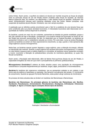 certos limites. Assim sendo, o equilíbrio do sistema só deveria ser mantido enquanto as forças de atração
entre as partículas (forças de van der Waals) fossem anuladas pelas forças de repulsão, de natureza
elétrica (potencial zeta). Ao medirem, por eletroforese, o valor dessas forças de repulsão, verificaram não
serem suficientemente intensas para mantê-las afastadas umas das outras. Nestas condições, toda
suspensão de bactérias deveria flocular. Entretanto, isso nem sempre acontece.
A explicação que os referidos autores encontraram para o fato foi a existência de uma terceira força que
seria constituída pela sua própria atividade locomotora. A intensidade locomotora está relacionada com a
quantidade de matéria nutritiva disponível no ambiente.
As bactérias, quando em meio rico em nutrientes, apresentam-se dotadas de grande mobilidade; graças a
isso são capazes de fugir à floculação, contrapondo a sua própria energia de locomoção às forças de van
der Waals que procuram aproximá-las. De fato, foi observado que no material floculado, as bactérias se
apresentam imóveis e com o metabolismo reduzido ao mínimo. Por outro lado, nunca se produz floculação
quando as bactérias se acham em fase exponencial de crescimento, ou seja, quando o meio apresenta alta
carga orgânica e poucos microrganismos.
Nesta fase, as bactérias apenas querem degradar a carga orgânica, para a obtenção de energia, utilizada
na reprodução das mesmas. Quando a carga orgânica fica escassa para tantos microrganismos, e o espaço
no meio líquido é pequeno para a matéria orgânica e a microbiota, as bactérias menos resistentes começam
a morrer, ocorrendo a liberação de polissacarídeos (oriundos da membrana plasmática), os quais irão
flocular as bactérias.
Assim sendo, a floculação está relacionada, além de fatores físico-químicos (forças de van der Waals), à
capacidade energética do meio em que vivem e principalmente os polímeros (polissacarídeos).
Microrganismos Envolvidos:O sistema de lodos ativados possui uma população de microrganismos
característica e composta freqüentemente por bactérias, fungos, algas, protozoários e micrometazoários.
Bactérias:As bactérias são organismos unicelulares, que se apresentam isoladas ou em cadeias e cuja
forma varia de esférica a bastonetes ou espiradas. Seu tamanho normalmente não excede 1,5 micrômetros
de comprimento. Quando se agrupam formando filamentos, estes podem atingir centenas de micrômetros.
No processo de lodos ativados elas se dividem em bactérias não filamentosas e filamentosas:
Bactérias não filamentosas: Os principais gêneros de bactérias não filamentosas são: Bacillus,
Aerobacter, Pseudomonas, Achromobacter, Flavobacterium, Alcaligenes, Arthrobacter, Citromonas
e Zooglea. A figura 2.3 mostra alguns exemplos desses tipos de bactéria.

Ilustração 3 Aerobacter e Acromobacter

Apostila de Tratamento de Efluentes
Profº Marcelo Pestana e Diógenes Ganghis

19

 