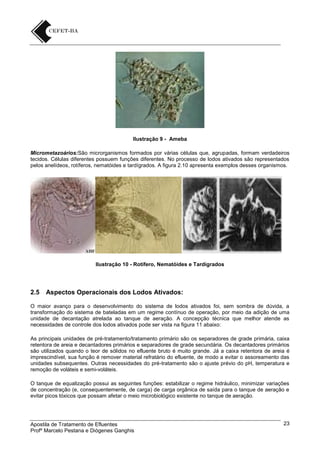 Ilustração 9 - Ameba
Micrometazoários:São microrganismos formados por várias células que, agrupadas, formam verdadeiros
tecidos. Células diferentes possuem funções diferentes. No processo de lodos ativados são representados
pelos anelídeos, rotíferos, nematóides e tardígrados. A figura 2.10 apresenta exemplos desses organismos.

Ilustração 10 - Rotífero, Nematóides e Tardígrados

2.5

Aspectos Operacionais dos Lodos Ativados:

O maior avanço para o desenvolvimento do sistema de lodos ativados foi, sem sombra de dúvida, a
transformação do sistema de bateladas em um regime contínuo de operação, por meio da adição de uma
unidade de decantação atrelada ao tanque de aeração. A concepção técnica que melhor atende as
necessidades de controle dos lodos ativados pode ser vista na figura 11 abaixo:
As principais unidades de pré-tratamento/tratamento primário são os separadores de grade primária, caixa
retentora de areia e decantadores primários e separadores de grade secundária. Os decantadores primários
são utilizados quando o teor de sólidos no efluente bruto é muito grande. Já a caixa retentora de areia é
imprescindível, sua função é remover material refratário do efluente, de modo a evitar o assoreamento das
unidades subsequentes. Outras necessidades do pré-tratamento são o ajuste prévio do pH, temperatura e
remoção de voláteis e semi-voláteis.
O tanque de equalização possui as seguintes funções: estabilizar o regime hidráulico, minimizar variações
de concentração (e, consequentemente, de carga) de carga orgânica de saída para o tanque de aeração e
evitar picos tóxicos que possam afetar o meio microbiológico existente no tanque de aeração.

Apostila de Tratamento de Efluentes
Profº Marcelo Pestana e Diógenes Ganghis

23

 