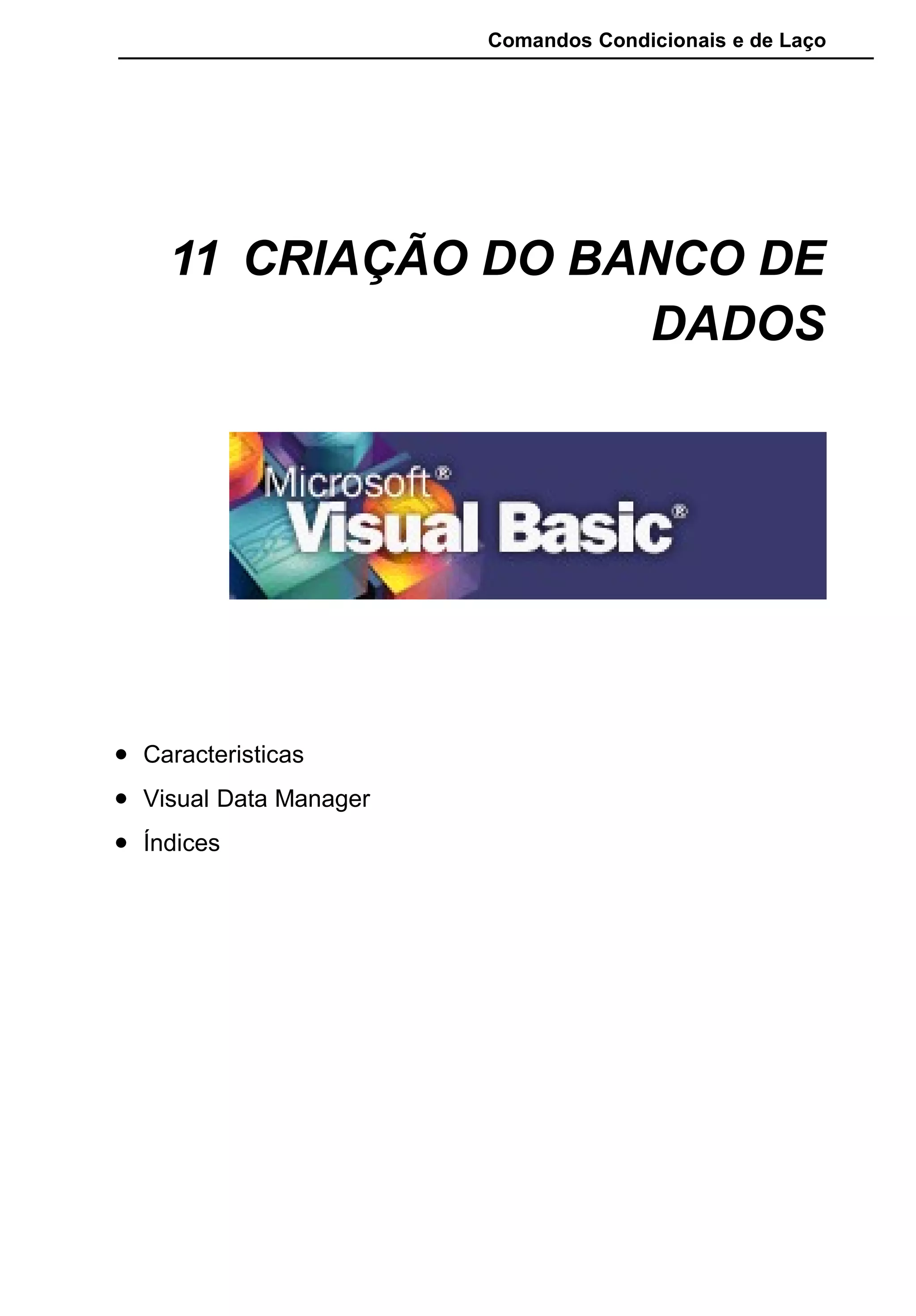 Comandos Condicionais e de Laço
11 CRIAÇÃO DO BANCO DE
DADOS
• Caracteristicas
• Visual Data Manager
• Índices
 