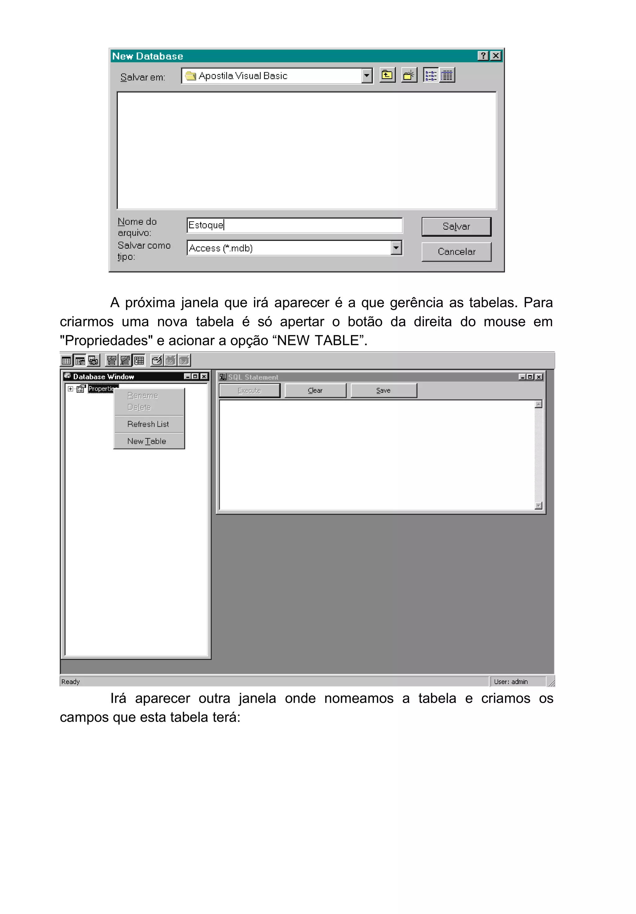 A próxima janela que irá aparecer é a que gerência as tabelas. Para
criarmos uma nova tabela é só apertar o botão da direita do mouse em
"Propriedades" e acionar a opção “NEW TABLE”.
Irá aparecer outra janela onde nomeamos a tabela e criamos os
campos que esta tabela terá:
 