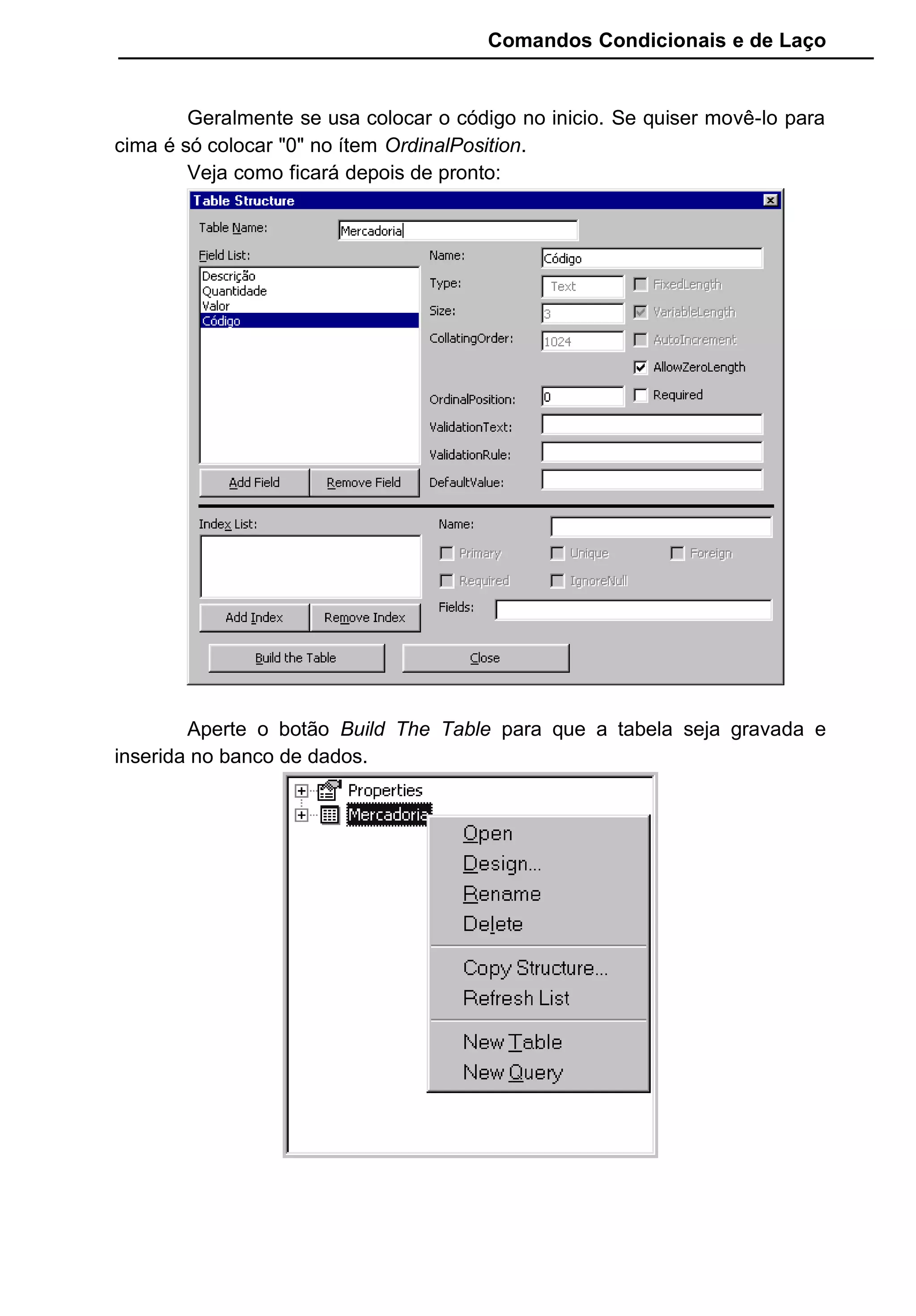 Comandos Condicionais e de Laço
Geralmente se usa colocar o código no inicio. Se quiser movê-lo para
cima é só colocar "0" no ítem OrdinalPosition.
Veja como ficará depois de pronto:
Aperte o botão Build The Table para que a tabela seja gravada e
inserida no banco de dados.
 