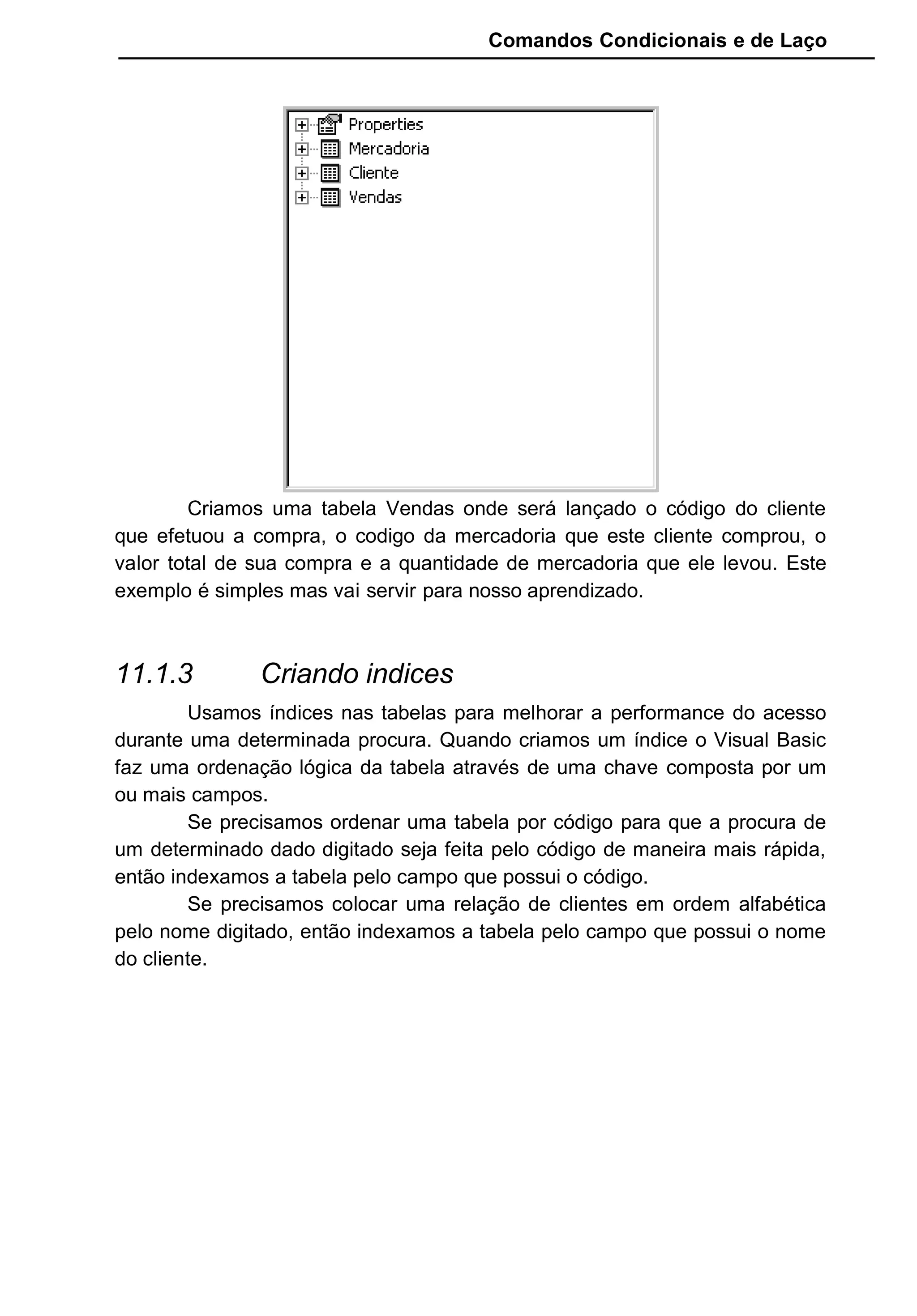 Comandos Condicionais e de Laço
Criamos uma tabela Vendas onde será lançado o código do cliente
que efetuou a compra, o codigo da mercadoria que este cliente comprou, o
valor total de sua compra e a quantidade de mercadoria que ele levou. Este
exemplo é simples mas vai servir para nosso aprendizado.
11.1.3 Criando indices
Usamos índices nas tabelas para melhorar a performance do acesso
durante uma determinada procura. Quando criamos um índice o Visual Basic
faz uma ordenação lógica da tabela através de uma chave composta por um
ou mais campos.
Se precisamos ordenar uma tabela por código para que a procura de
um determinado dado digitado seja feita pelo código de maneira mais rápida,
então indexamos a tabela pelo campo que possui o código.
Se precisamos colocar uma relação de clientes em ordem alfabética
pelo nome digitado, então indexamos a tabela pelo campo que possui o nome
do cliente.
 
