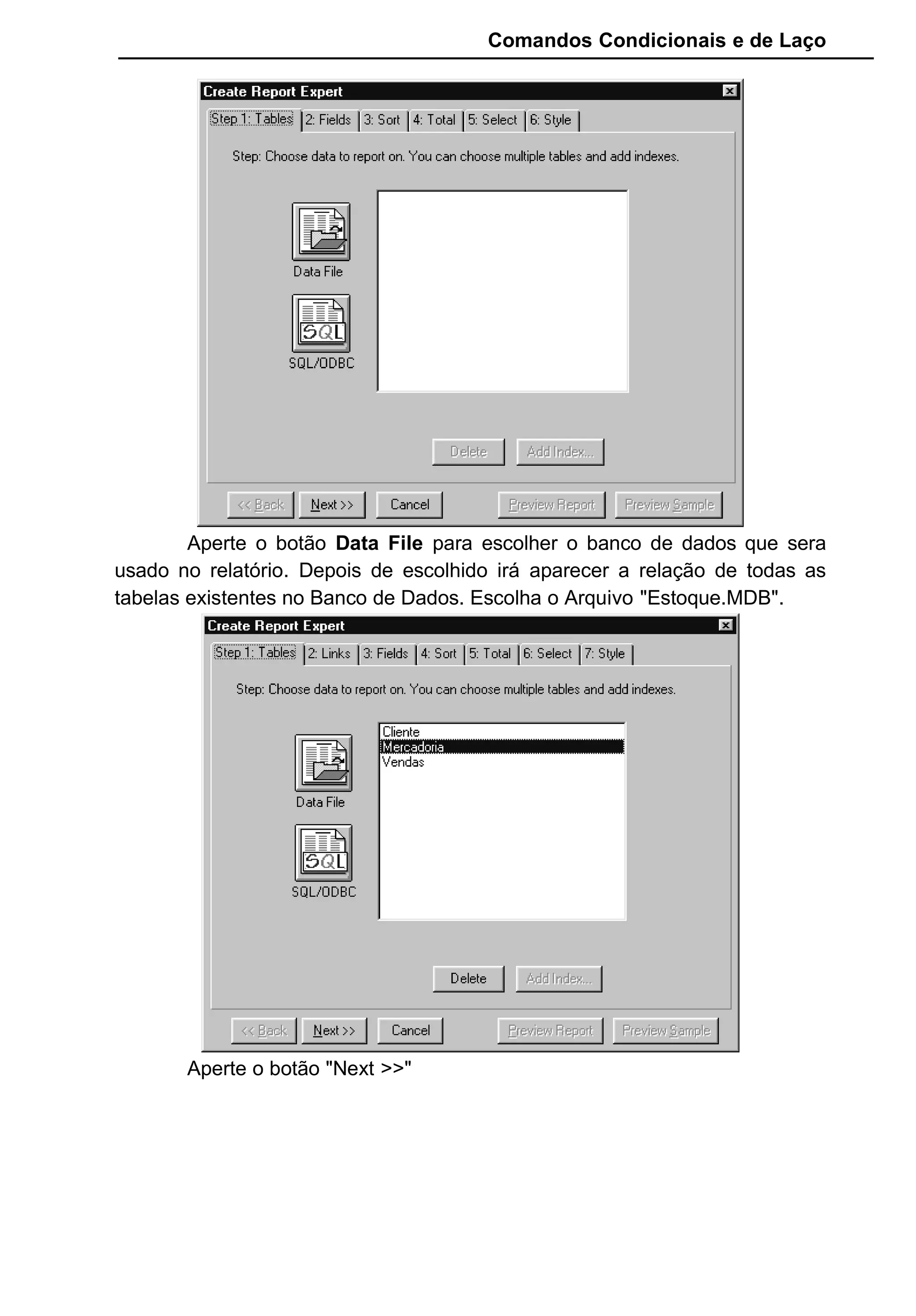 Comandos Condicionais e de Laço
Aperte o botão Data File para escolher o banco de dados que sera
usado no relatório. Depois de escolhido irá aparecer a relação de todas as
tabelas existentes no Banco de Dados. Escolha o Arquivo "Estoque.MDB".
Aperte o botão "Next >>"
 