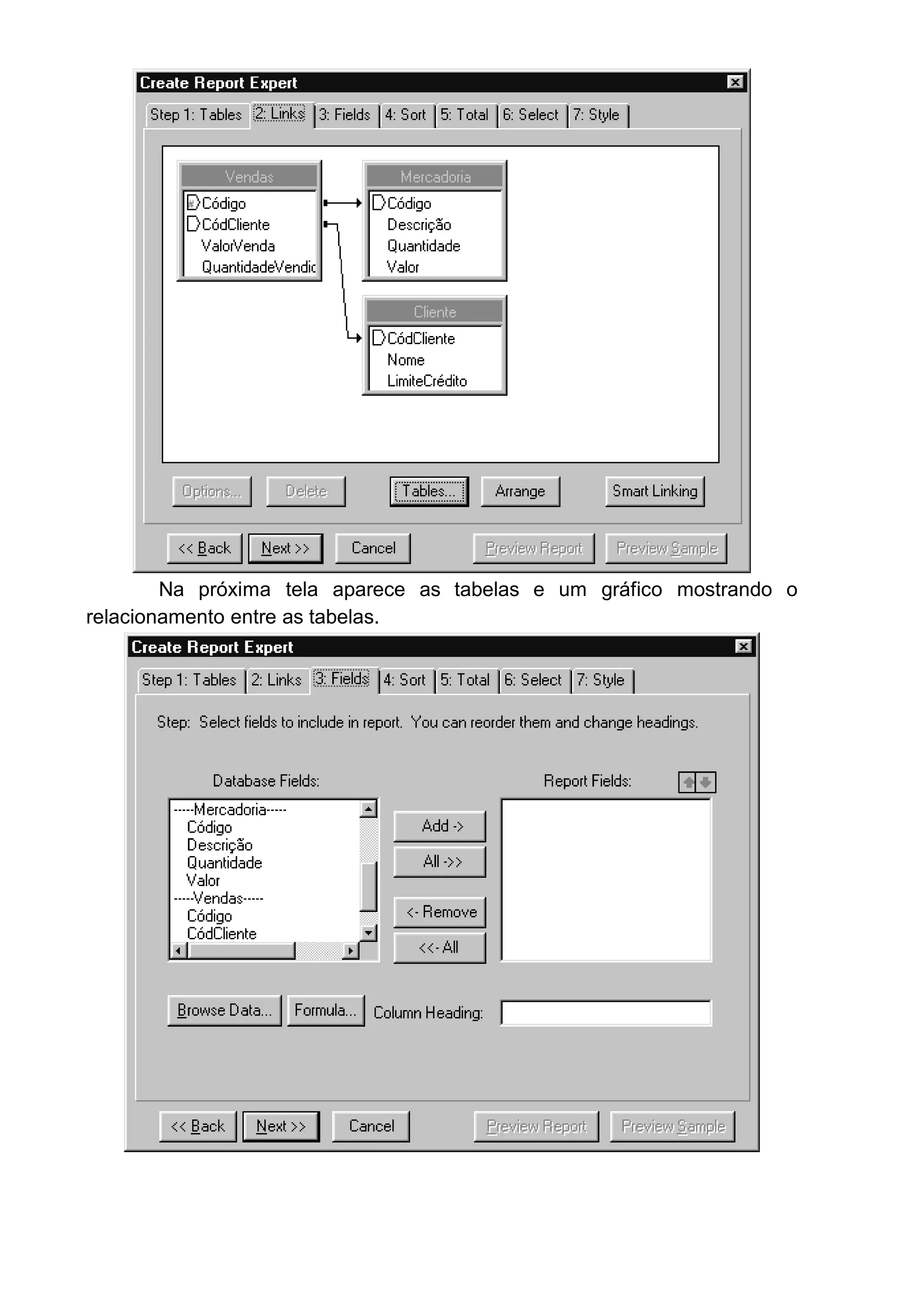 Na próxima tela aparece as tabelas e um gráfico mostrando o
relacionamento entre as tabelas.
 