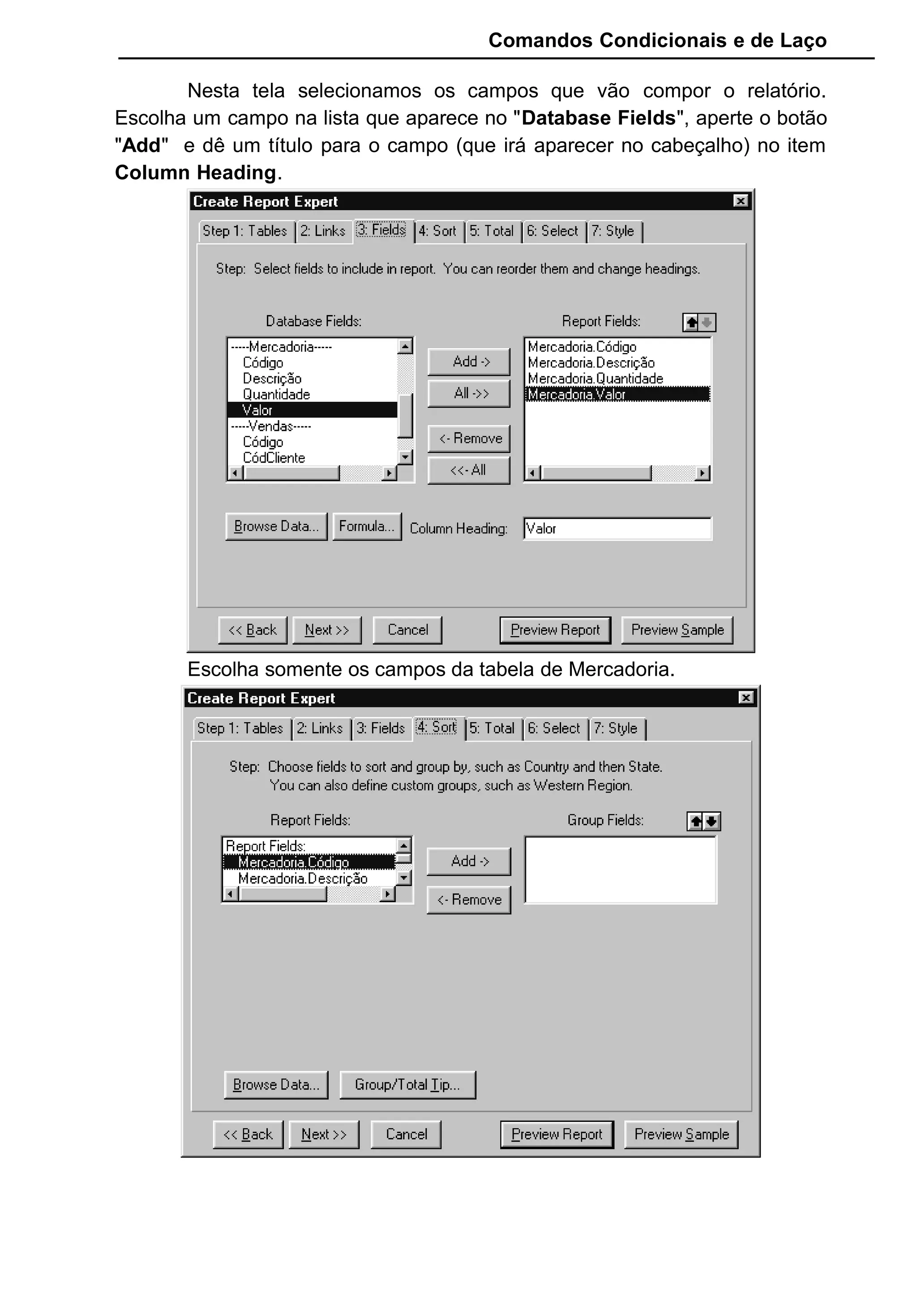 Comandos Condicionais e de Laço
Nesta tela selecionamos os campos que vão compor o relatório.
Escolha um campo na lista que aparece no "Database Fields", aperte o botão
"Add" e dê um título para o campo (que irá aparecer no cabeçalho) no item
Column Heading.
Escolha somente os campos da tabela de Mercadoria.
 