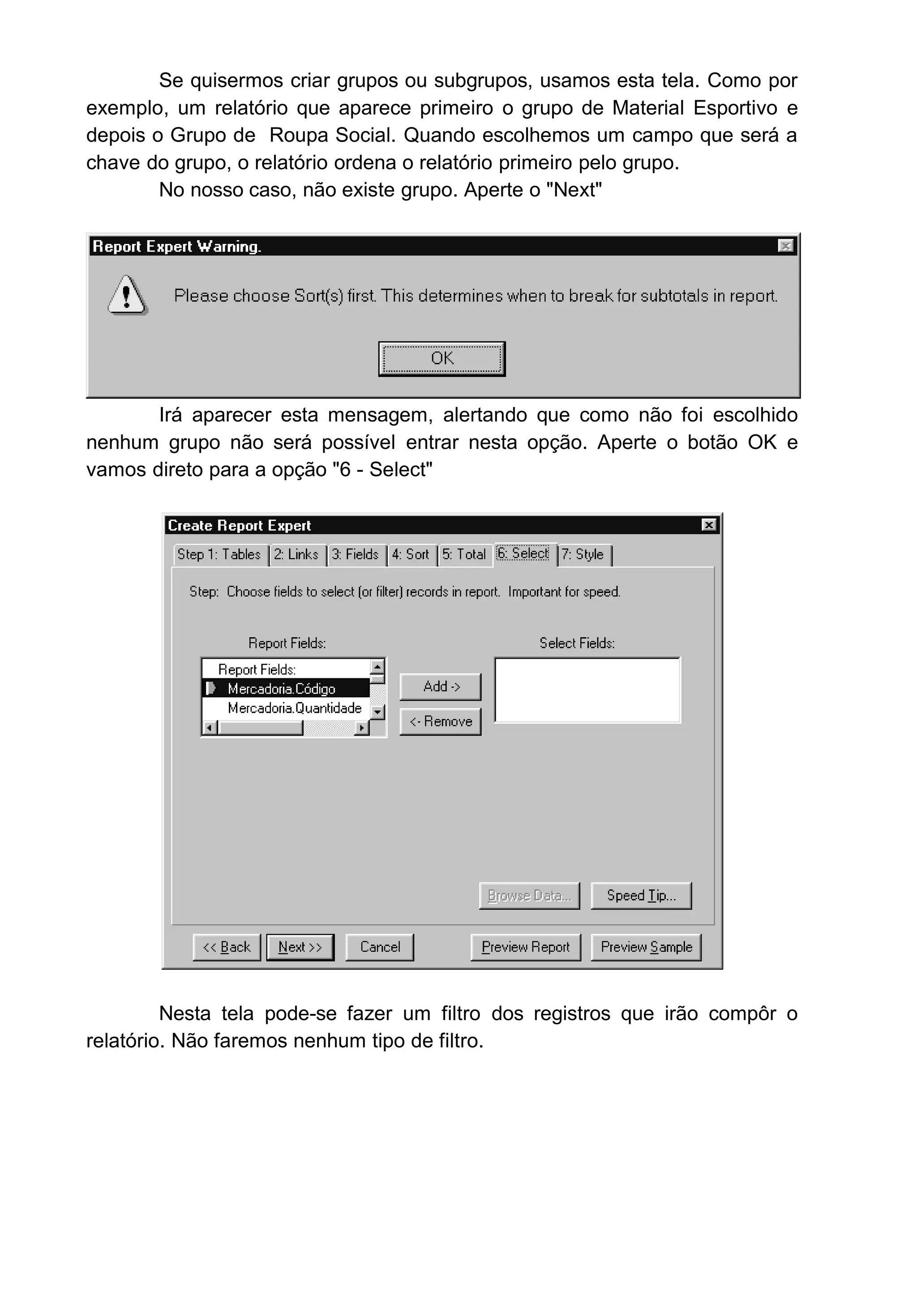 Se quisermos criar grupos ou subgrupos, usamos esta tela. Como por
exemplo, um relatório que aparece primeiro o grupo de Material Esportivo e
depois o Grupo de Roupa Social. Quando escolhemos um campo que será a
chave do grupo, o relatório ordena o relatório primeiro pelo grupo.
No nosso caso, não existe grupo. Aperte o "Next"
Irá aparecer esta mensagem, alertando que como não foi escolhido
nenhum grupo não será possível entrar nesta opção. Aperte o botão OK e
vamos direto para a opção "6 - Select"
Nesta tela pode-se fazer um filtro dos registros que irão compôr o
relatório. Não faremos nenhum tipo de filtro.
 