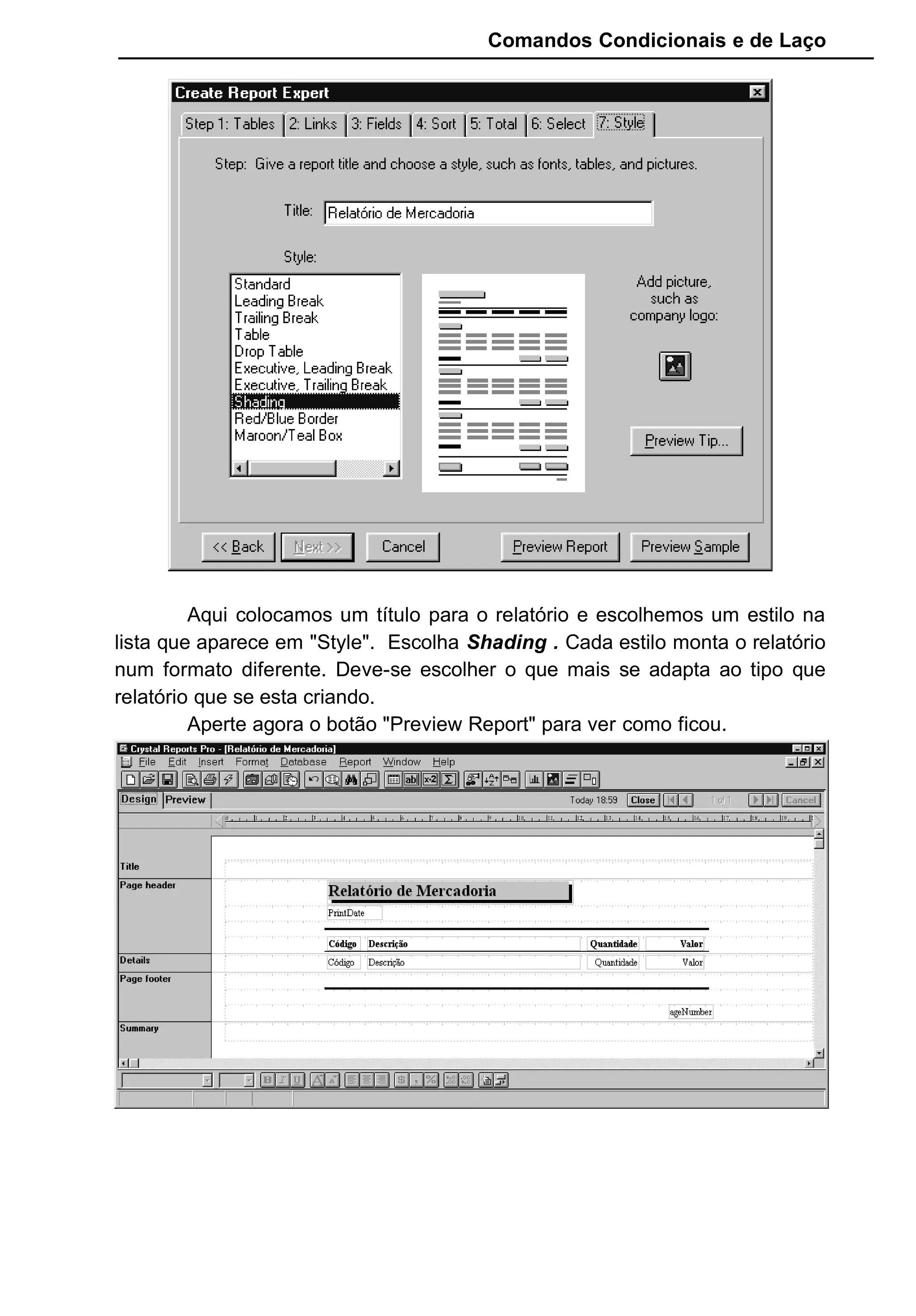 Comandos Condicionais e de Laço
Aqui colocamos um título para o relatório e escolhemos um estilo na
lista que aparece em "Style". Escolha Shading . Cada estilo monta o relatório
num formato diferente. Deve-se escolher o que mais se adapta ao tipo que
relatório que se esta criando.
Aperte agora o botão "Preview Report" para ver como ficou.
 