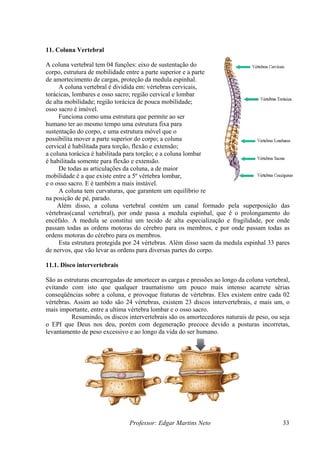 11. Coluna Vertebral
Professor: Edgar Martins Neto 33
e amortecimento de cargas, proteção da medula espinhal.
idida em: vértebras cervicais,
rácicas, lombares e osso sacro; região cervical e lombar
é habilitada som
m
e o osso sacro. E é tam
A coluna tem ácil do ser humano
na posição de pé, parado.
Além superposição das
ento do
encéfalo. A m
as ordens motoras do cérebro para os membros, e por onde passam todas as
ro para os membros.
Esta estrutura protegida por 24 vértebras. Além disso saem da medula espinhal 33 pares
1.1. Disco intervertebrais
gas e pressões ao longo da coluna vertebral,
qualquer traumatismo um pouco mais intenso acarrete sérias
luna, e provoque fraturas de vértebras. Eles existem entre cada 02
sim ao todo são 24 vértebras, existem 23 discos intervertebrais, e mais um, o
entre a ultima vértebra lombar e o osso sacro.
cos intervertebrais são os amortecedores naturais de peso, ou seja
s,
eso excessivo e ao longo da vida do ser humano.
A coluna vertebral tem 04 funções: eixo de sustentação do
corpo, estrutura de mobilidade entre a parte superior e a parte inferior do corpo,
d
A coluna vertebral é div
to
de alta mobilidade; região torácica de pouca mobilidade;
osso sacro é imóvel.
Funciona como uma estrutura que permite ao ser
humano ter ao mesmo tempo uma estrutura fixa para
sustentação do corpo, e uma estrutura móvel que o
possibilita mover a parte superior do corpo; a coluna
cervical é habilitada para torção, flexão e extensão;
a coluna torácica é habilitada para torção; e a coluna lombar
ente para flexão e extensão.
De todas as articulações da coluna, a de maior
obilidade é a que existe entre a 5º vértebra lombar,
bém a mais instável.
curvaturas, que garantem um equilíbrio relativamente f
disso, a coluna vertebral contém um canal formado pela
vértebras(canal vertebral), por onde passa a medula espinhal, que é o prolongam
edula se constitui um tecido de alta especialização e fragilidade, por onde
passam todas
ordens motoras do céreb
de nervos, que vão levar as ordens para diversas partes do corpo.
1
São as estruturas encarregadas de amortecer as car
evitando com isto que
conseqüências sobre a co
vértebras. As
mais importante,
Resumindo, os dis
o EPI que Deus nos deu, porém com degeneração precoce devido a posturas incorreta
levantamento de p
 