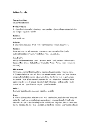 13
Cajú do Cerrado
Nome cientifico:
Anacardium humile.
Nome popular:
O cajuzinho-do-cerrado, caju-do-cerrado, cajuí ou cajueiro-do-campo, cajuzinho-
do-campo e cajuzinho-azedo.
Família:
anacardiáceas.
Origem:
É uma planta nativa do Brasil com ocorrência mais comum no cerrado.
Como é:
Caracteriza-se por vários ramos eretos com base num xilopódio (caule
subterrâneo) desenvolvido. Tem folhas ovado-lanceoladas.
Aonde vive:
Está presente em Estados como Tocantins, Piauí, Goiás, Distrito Federal, Mato
Grosso, Mato Grosso do Sul, Minas Gerais, São Paulo e Paraná (mais comum no
cerrado).
Flor e fruto:
As flores podem ser brancas, róseas ou amarelas, com estrias roxas na base.
O fruto verdadeiro é uma noz de cor cinzenta e com forma de rim. Tem, contudo,
um pseudofruto (tal como o caju), vermelho e claviforme, com polpa branca e
suculenta. Tanto o fruto como o pseudofruto são comestíveis, embora o fruto
apresente alto teor de acidez. No estado de Goiás onde é ambundante, é mais
conhecido por cajuzinho-do-campo e cajuzinho-azedo.
Coleta:
Derrubar quando estão maduros, ou colher no chão.
Usos:
É comido puro quando maduro, usado para fazer licores, sucos e doces. O cajú ao
natural é excelente no combate ao reumatismo e eczemas de pele. E o óleo de
castanha de cajú é considerado potente anti-séptico, limpando feridas e ajudando
na sua cicatrização. Esse óleo é também indicado no combate a vermes intestinais.
 