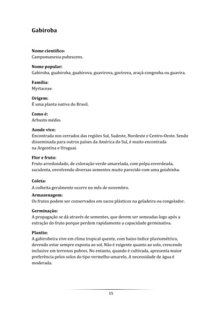 15
Gabiroba
Nome cientifico:
Campomanesia pubescens.
Nome popular:
Gabiroba, guabiroba, guabirova, guavirova, gavirova, araçá-congonha ou guavira.
Família:
Myrtaceae.
Origem:
É uma planta nativa do Brasil.
Como é:
Arbusto médio.
Aonde vive:
Encontrada nos cerrados das regiões Sul, Sudeste, Nordeste e Centro-Oeste. Sendo
disseminada para outros países da América do Sul, é muito encontrada
na Argentina e Uruguai.
Flor e fruto:
Fruto arredondado, de coloração verde-amarelada, com polpa esverdeada,
suculenta, envolvendo diversas sementes muito parecido com uma goiabinha.
Coleta:
A colheita geralmente ocorre no mês de novembro.
Armazenagem:
Os frutos podem ser conservados em sacos plásticos na geladeira ou congelador.
Germinação:
A propagação se dá através de sementes, que devem ser semeadas logo após a
extração do fruto porque perdem rapidamente a capacidade germinativa.
Plantio:
A gabirobeira vive em clima tropical quente, com baixo índice pluviométrico,
devendo estar sempre exposta ao sol. Não é exigente quanto ao solo, crescendo
inclusive em terrenos pobres. No entanto, quando é cultivada, apresenta maior
preferência pelos solos do tipo vermelho-amarelo. A necessidade de água é
moderada.
 