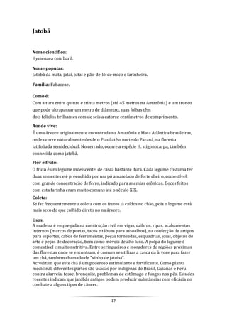 17
Jatobá
Nome cientifico:
Hymenaea courbaril.
Nome popular:
Jatobá da mata, jataí, jutaí e pão-de-ló-de-mico e farinheira.
Família: Fabaceae.
Como é:
Com altura entre quinze e trinta metros (até 45 metros na Amazônia) e um tronco
que pode ultrapassar um metro de diâmetro, suas folhas têm
dois folíolos brilhantes com de seis a catorze centímetros de comprimento.
Aonde vive:
É uma árvore originalmente encontrada na Amazônia e Mata Atlântica brasileiras,
onde ocorre naturalmente desde o Piauí até o norte do Paraná, na floresta
latifoliada semidecidual. No cerrado, ocorre a espécie H. stigonocarpa, também
conhecida como jatobá.
Flor e fruto:
O fruto é um legume indeiscente, de casca bastante dura. Cada legume costuma ter
duas sementes e é preenchido por um pó amarelado de forte cheiro, comestível,
com grande concentração de ferro, indicado para anemias crônicas. Doces feitos
com esta farinha eram muito comuns até o século XIX.
Coleta:
Se faz frequentemente a coleta com os frutos já caídos no chão, pois o legume está
mais seco do que colhido direto no na árvore.
Usos:
A madeira é empregada na construção civil em vigas, caibros, ripas, acabamentos
internos (marcos de portas, tacos e tábuas para assoalhos), na confecção de artigos
para esportes, cabos de ferramentas, peças torneadas, esquadrias, joias, objetos de
arte e peças de decoração, bem como móveis de alto luxo. A polpa do legume é
comestível e muito nutritiva. Entre seringueiros e moradores de regiões próximas
das florestas onde se encontram, é comum se utilizar a casca da árvore para fazer
um chá, também chamado de "vinho de jatobá".
Acreditam que este chá é um poderoso estimulante e fortificante. Como planta
medicinal, diferentes partes são usadas por indígenas do Brasil, Guianas e Peru
contra diarreia, tosse, bronquite, problemas de estômago e fungos nos pés. Estudos
recentes indicam que jatobás antigos podem produzir substâncias com eficácia no
combate a alguns tipos de câncer.
 