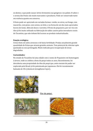 26
os dentes, o que pode causar sérios ferimentos nas gengivas e no palato. O sabor e
o aroma dos frutos são muito marcantes e peculiares. Pode ser conservado tanto
em essência quanto em conserva.
O fruto pode ser apreciado em variadas formas: cozido, no arroz, no frango, com
macarrão, com peixe, com carnes, no leite, e na forma de um dos mais apreciados
licores de Goiás. Além de doces e sorvetes. O fruto do pequizeiro, por ser rico em
óleo já foi muito utilizado na fabricação de sabão caseiro pelos moradores rurais
do Tocantins, que não tinham fácil acesso ao produto industrializado.
Função ecológica:
Cresce bem em solos arenosos e de baixa fertilidade. Produz anualmente grande
quantidade de frutas que atraem grandes animais. Tem potencial de rebrotar após
queimada ou seca prolongada. Muito indicado para recuperação de áreas
degradadas.
Curiosidades:
No estado do Tocantins há uma cidade com o nome de Pequizeiro em homenagem
à árvore, onde se celebra a festa do pequi todos os anos. Recentemente, foi
descoberta uma propriedade do óleo de pequi que, antes mesmo de poder ser
explorada pelo Brasil, já foi patenteada por japoneses. Ela foi recentemente
batizada de CSL (chemical strengthener layer).
Flor do pequi.
 