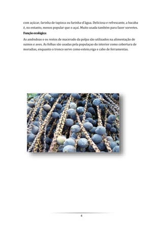 4
com açúcar, farinha de tapioca ou farinha-d'água. Deliciosa e refrescante, a bacaba
é, no entanto, menos popular que o açaí. Muito usada também para fazer sorvetes.
Funçãoecológica:
As amêndoas e os restos de macerado da polpa são utilizados na alimentação de
suinos e aves. As folhas são usadas pela populaçao do interior como cobertura de
moradias, enquanto o tronco serve como esteio,viga e cabo de ferramentas.
 