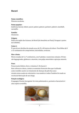 5
Bacuri
Nome cientifico:
Platonia esculenta.
Nome popular:
landirana, bacury, bakuri, pacuri, pakuri, pakouri, packoeri, pakoeri, maniballi,
naranjillo.
Familia:
Clusiaceae.
Origem:
Nativa da região das Guianas, do Brasil (da Amazônia ao Piauí), Paraguai e partes
da Colômbia.
Como é:
É uma árvore decídua de estação seca, de 25 a 40 metros de altura. Tem folhas de 8
a 15 centímetros de comprimento, lanceoladas, coriáceas.
Flor e fruto:
Flores rosadas de 5 a 7 centímetros, com 5 pétalas e numerosos estames. O fruto
são bagasgrandes, globosas e amarelas, com polpa amarelada e epicarpo amarelo.
Usos:
Possui muito fósforo, ferro e vitamina C. Do bacuri é
feito refrescos e doces, cremes as sementes fornecem óleo que é utilizado
como remédio caseiro no tratamento de doenças de pele.Sua casca
exsuda resina usada em veterinária e sua madeira é nobre.Também foi usada na
receita de fabricação de um chopp.
Função ecológica:
O papagaio Pionites leucogaster foi visto polinizando-o, portanto o bacurizeiro é
uma espécie ornitófila.
 