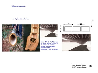 lajes nervuradas:
Arq° Renato Carrieri
Profº Adjunto Doutor 18
As lições da natureza
Fonte: TFG do Arqº Leonardo
da Cunha Catella: Estruturas
de bambu- um possível
sistema. FAU Mackenzie
Dezembro 2009
Orientador : Arqº R.Carrieri
 