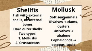 Shellfish Vs Non Shellfish WHAT IS IT & CLASSIFICATION OF SEAFOOD.pptx