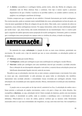 14
 A elástica: assemelha-se à cartilagem hialina, porém inclui, além das fibrilas de colágeno, uma
abundante rede de fibras elásticas finas e contínuas. Este tipo é menos sujeito a processos
degenerativos do que a hialina. Localiza-se no pavilhão auditivo, no conduto auditivo externo, na
epiglote e na cartilagem cuneiforme da laringe.
Estudos comprovam que o esqueleto de um embrião é formado basicamente por tecido cartilaginoso.
Nos recém-nascidos, pode-se constatar maior maleabilidade dos ossos, principalmente na hora do parto, em
vista da maior quantidade de fibras de colágeno do que de cálcio. Mais tarde, com o aumento de cálcio no
organismo, essas células cartilaginosas morrem. No espaço intercelular, então, há uma substituição gradual
por tecido ósseo - que, dessa forma, não resulta diretamente de sua transformação. Este é o motivo pelo
qual o esqueleto do adulto apresenta menor proporção de tecido cartilaginoso. Entretanto, pode-se constatar
que a cartilagem atua como proteção nos espaços entre as vértebras da coluna, evitando seu desgaste.
Na anatomia do corpo, articulação é a junção de dois ou mais ossos distintos, permitindo seu
movimento. De acordo com o tipo de material que une os ossos articulados, as articulações podem ser
divididas em:
 Fibrosas: unidas por tecido fibroso;
 Cartilagíneas: unidas por cartilagem ou por uma combinação de cartilagem e tecido fibroso;
 Sinoviais: unidas por cartilagem com uma membrana sinovial que circunda a cavidade articular.
Para a obtenção de um desempenho adequado e sem atritos, a maioria dessas articulações possui um
lubrificante denominado líquido sinovial, razão de seu nome.
Ressalte-se que as articulações sinoviais são as mais comuns e proporcionam o movimento livre entre
os ossos que une, caracterizando- se pela presença em quase todas as articulações dos membros.
Apresentam uma cavidade articular e extremidades ósseas revestidas por cartilagem articular. Essas
articulações são circundadas por uma cápsula articular, fibrosa, internamente revestida por uma membrana
sinovial .
A junção com os ossos pode ser do tipo móvel, semimóvel ou fixa. A articulação do ombro com o
braço permite a realização de amplos movimentos, como o de girar o braço em várias direções. Isto
exemplifica a diartrose, ou seja, articulação móvel. Outro exemplo de diartrose, porém com movimentos
menos amplos, é encontrado no joelho, onde se constata a semelhança com o movimento de uma
dobradiça. Observando-se os ossos do crânio, pode-se verificar que os mesmos estão firmemente
encaixados entre si e que suas extremidades são irregulares, ou seja, nem retas nem lisas. Isto exemplifica a
Articulaçõe
s
 