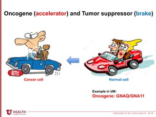 © U N I V E R S I T Y O F U T A H H E A L T H , 2 0 1 8
Oncogene (accelerator) and Tumor suppressor (brake)
Normal cellCan...