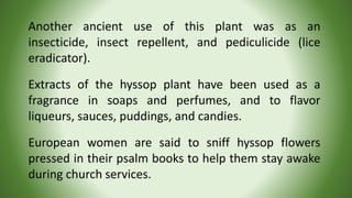 Apothecary Mama Teaching on Hyssop ~ A Plant of the Bible | PPTX