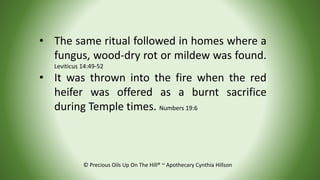 © Precious Oils Up On The Hill® ~ Apothecary Cynthia Hillson
• The same ritual followed in homes where a
fungus, wood-dry ...