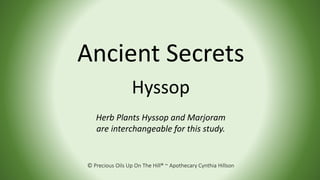 © Precious Oils Up On The Hill® ~ Apothecary Cynthia Hillson
Ancient Secrets
Hyssop
Herb Plants Hyssop and Marjoram
are in...