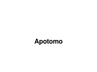 Apotomo 