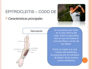 Anatomy And Physiology Of Upper Respiratory Tract Ppt