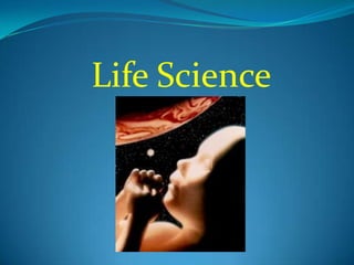 LifeScience 