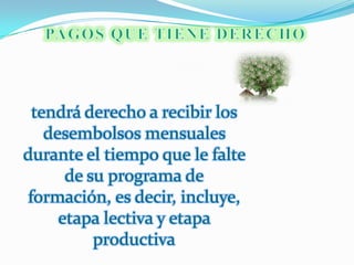 Cuando trascurra un mes y el alumno continúe sin iniciar la etapa productiva y en consecuencia no esté registrado en el aplicativo de Sistemas para la Gestión Académica de Centros y por lo tanto tampoco se cuente con el seguimiento respectivo del instructor