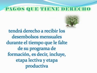 tendrá derecho a recibir los
   desembolsos mensuales
durante el tiempo que le falte
      de su programa de
formación, es decir, incluye,
     etapa lectiva y etapa
          productiva
 