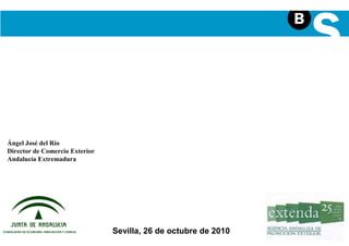 Programas de apoyo financiero a la
          INTERNACIONALIZACIÓN
Ángel José del Río
Director de Comercio Exterior
Andalucía Extremadura




                                Sevilla, 26 de octubre de 2010
 