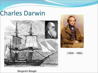 Charles Darwin
(1809 – 1882)
Bergantín Beagle
 
