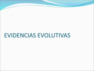 EVIDENCIAS EVOLUTIVAS
 
