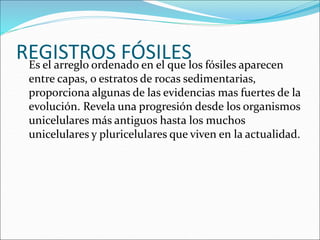 REGISTROS FÓSILES
Es el arreglo ordenado en el que los fósiles aparecen
entre capas, o estratos de rocas sedimentarias,
proporciona algunas de las evidencias mas fuertes de la
evolución. Revela una progresión desde los organismos
unicelulares más antiguos hasta los muchos
unicelulares y pluricelulares que viven en la actualidad.
 