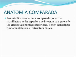 ANATOMIA COMPARADA
 Los estudios de anatomía comparada ponen de
manifiesto que las especies que integran cualquiera de
los grupos taxonómicos superiores, tienen semejanzas
fundamentales en su estructura básica.
 