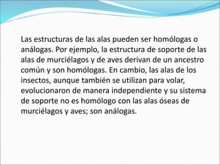 Las estructuras de las alas pueden ser homólogas o
análogas. Por ejemplo, la estructura de soporte de las
alas de murciélagos y de aves derivan de un ancestro
común y son homólogas. En cambio, las alas de los
insectos, aunque también se utilizan para volar,
evolucionaron de manera independiente y su sistema
de soporte no es homólogo con las alas óseas de
murciélagos y aves; son análogas.
 
