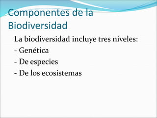 Componentes de la
Biodiversidad
La biodiversidad incluye tres niveles:
- Genética
- De especies
- De los ecosistemas
 
