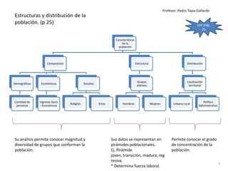 Profesor: Pedro Tapia Gallardo
Estructuras y distribución de la
población. (p 25)                                                                                                                Lee pág.
                                                                                                                                    25

                                                                  Características
                                                                      de la
                                                                    población




                    Composición                                                     Estructura                            Distribución




                                                                                     Grupos                               Localización
Demográficas    Económicas                   Sociales
                                                                                     etáreos                               territorial




Cantidad de    Ingresos Socio                                                                                                       Político
                                  Religión              Etnia          Hombres                   Mujeres         Urbano-rural
 personas       –Económicos                                                                                                       Administrativo




Su análisis permite conocer magnitud y                          Sus datos se representan en                     Permite conocer el grado
diversidad de grupos que conforman la                           pirámides poblacionales.                        de concentración de la
población.                                                      Ej. Pirámide                                    población.
                                                                joven, transición, madura, reg
                                                                resiva.
                                                                                                                                                   1
                                                                * Determina fuerza laboral.
 