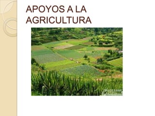 APOYOS A LA
AGRICULTURA
 